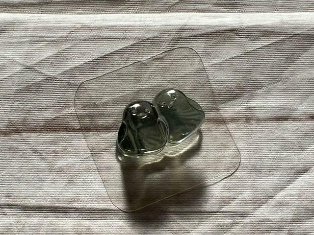 2羽寄り添ったシマエナガがキュート！