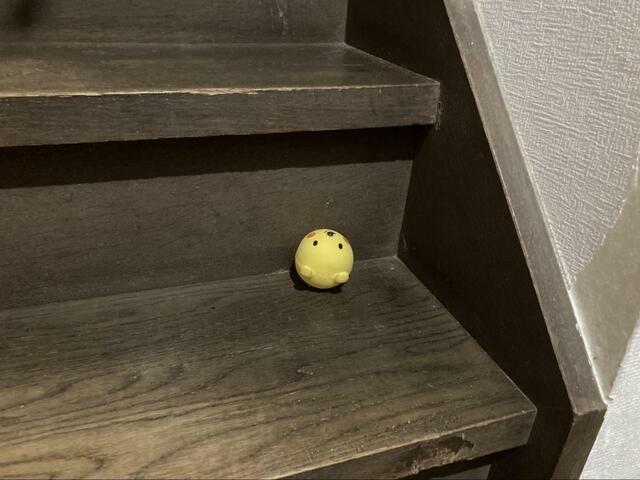 【こいぬすてっぷ スーパーキャット アニマルフェイス くまさん】お気に入りのくまさんも飽きるまで遊んでいました