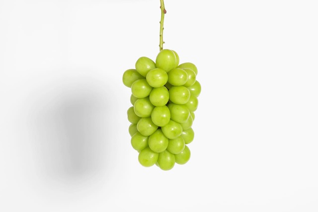 【ゴンチャ】信州松本山辺産シャインマスカットが当たる！豪華プレゼントキャンペーンも