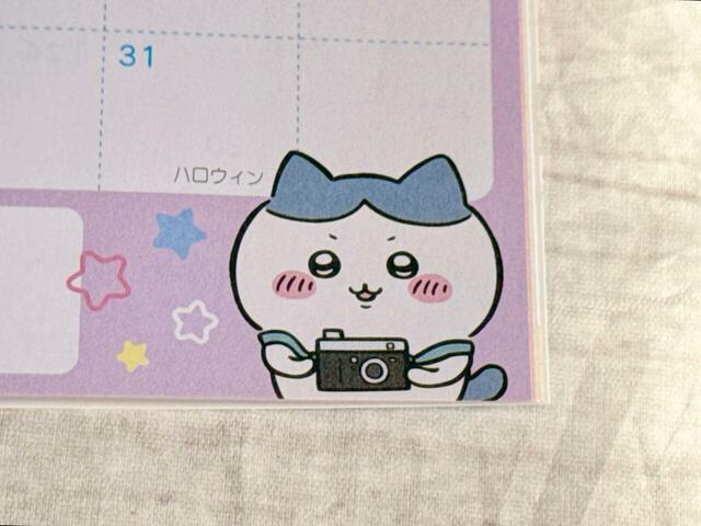 カメラを持ったハチワレが尊い…!