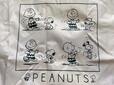 スヌーピーとチャーリー・ブラウンの仲の良さがうかがえます♪ 