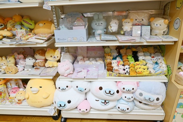 【サンエックスショールーム】棚の下部にはまめゴマがたくさん~!