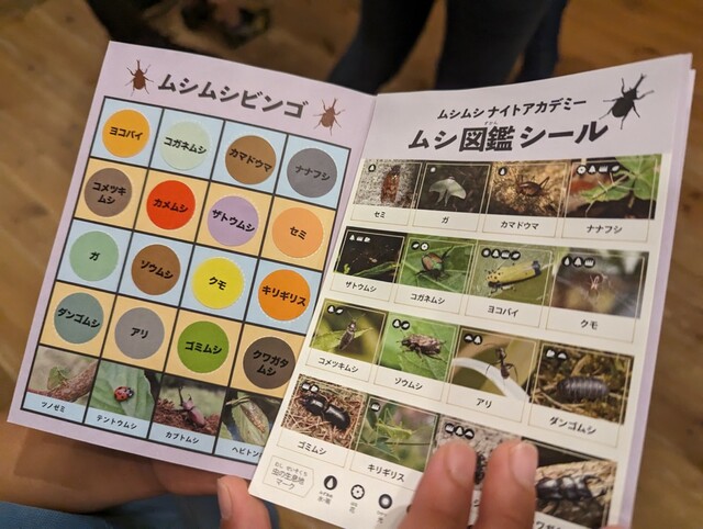 【リゾナーレ八ヶ岳】八ヶ岳の森で虫探しするアクティビティ「ムシムシナイトアカデミー」1名2,300円