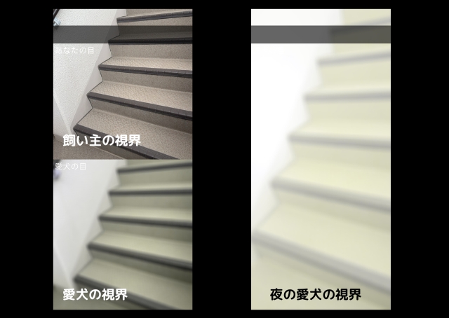【無料アプリ「犬の目カメラ」】階段の端に色が入っていないと、ほとんどわからなくなりそう