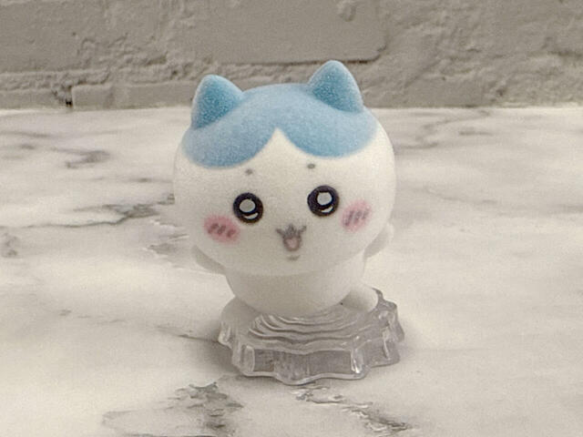 「おーい!」というハチワレの元気な声が聞こえてきそう♪