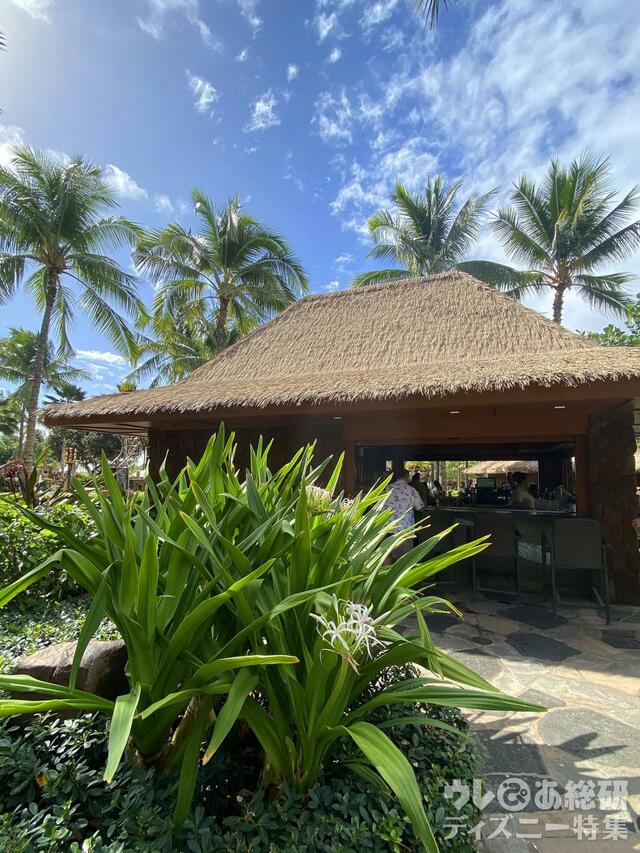 アウラニのプールバー