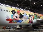 特別塗装機「JAL Colorful Dreams Express」