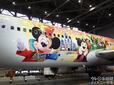 特別塗装機「JAL Colorful Dreams Express」
