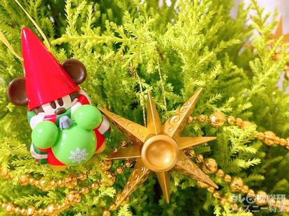 東京ディズニーリゾート 限定 生木クリスマスツリー 到着レポ パークのツリーと同じで感激 3 3 ディズニー特集 ウレぴあ総研 東京ディズニーリゾート 限定 生木クリスマスツリー 到着レポ パークのツリーと同じで感激 3 3 ディズニー特集 ウレぴあ総研