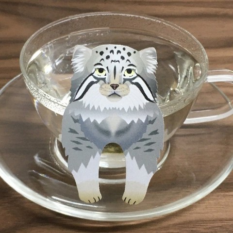【ocean-teabag】マヌルネコのティーバッグ