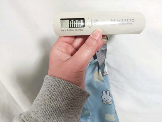 重さは測定できないほど軽い