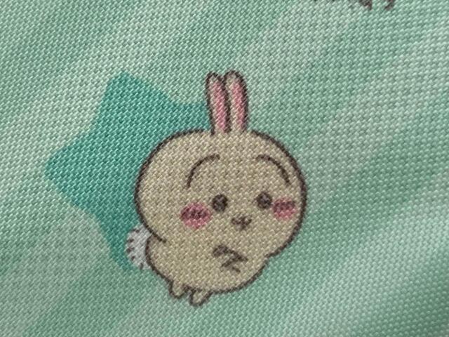 【キラピチ2023年8月号付録】「フゥン」という声が聞こえてきそうなうさぎ