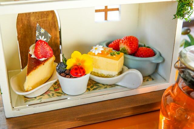 「バスクチーズ・植木鉢のタルト・オレンジとホワイトチョコムース・季節のフルーツ」＜おひとり￥4,400（税込）＞【BOTANICAL HOUSE《アフタヌーンティーセット》】
