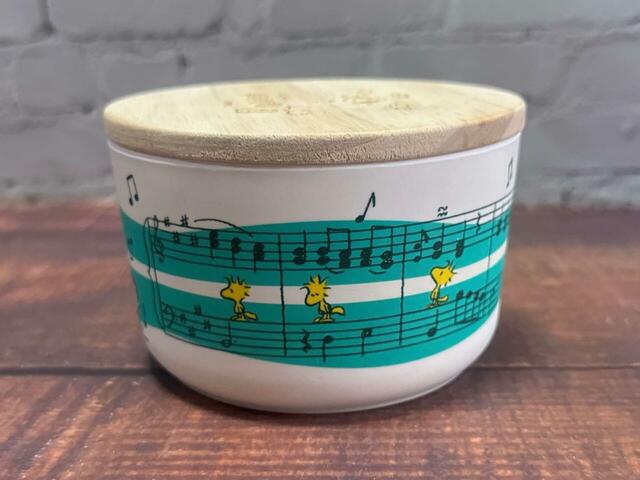 楽譜の中に紛れ込んだウッドストックがキュート！