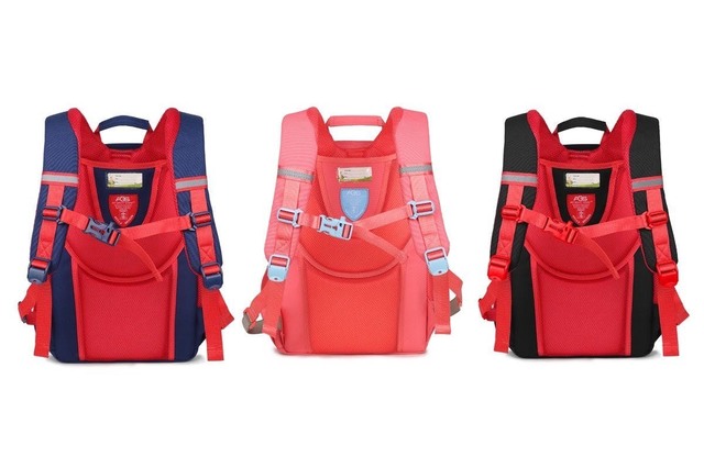 ハロードラゴン背中側