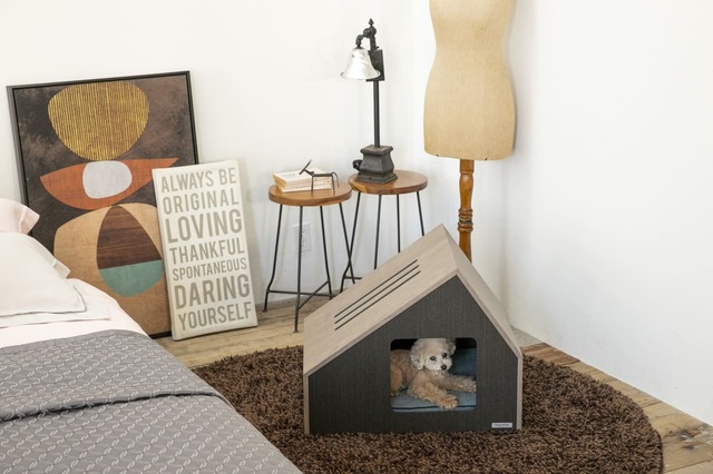 【フランスペット】「ペットハウス ソフィタ イン」