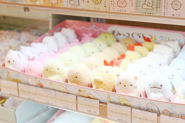 【すみっコぐらしあそびスタジオ／グッズエリア】たくさんのてのりぬいぐるみが勢ぞろい