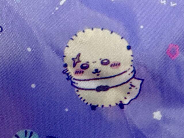 【ねーねー 2024年12・1月号付録】リラックスした姿のキャラが多い一方で、今回も凛々しさが全開のラッコ。かっこいいです！