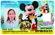 東京ディズニーリゾート 2パーク年間パスポート｜2017年3月18日（土）～2018年3月31日（土）デザイン