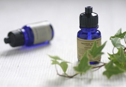 緊急時の対処法も 黒い悪魔 ゴキブリ との効果的な戦い方まとめ 2 2 ウレぴあ総研