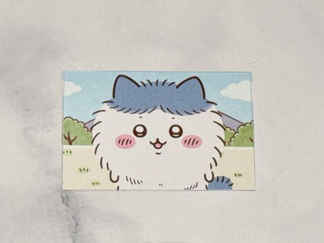 2枚目を作っていきます♪毛量が増えちゃったハチワレをチョイス！