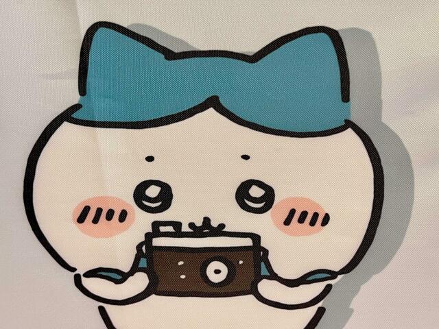 【ファッションセンターしまむら】背面にはカメラを構えているハチワレが描かれています