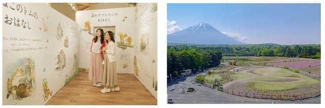 【ピーターラビット イングリッシュガーデン】絵本の世界を体感できるギャラリーとガーデンタワー