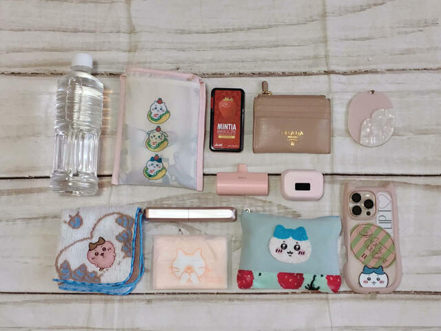 これだけのものが収納できちゃいます♪