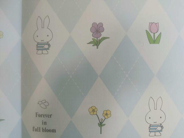 裏面のイラスト拡大図