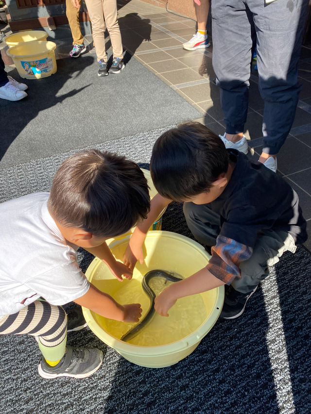 開催時のようす【「うらわのうなぎ萬店」のうな重食べ放題】