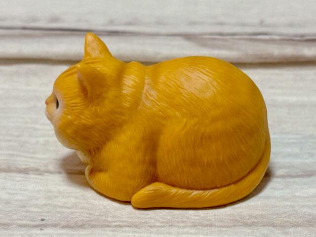 香箱座りをしているずんぐりとしたボディがたまりません…！