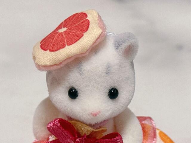 ピンクグレープフルーツモチーフのベレー帽を被ったゆきヒョウの赤ちゃん。高貴な雰囲気！