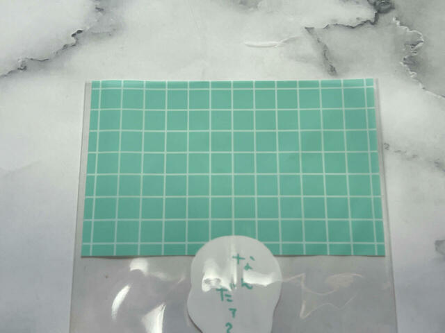 ミントグリーンのチェックがキュート!