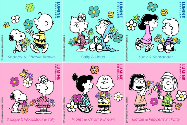 限定デザインステッカー（表）