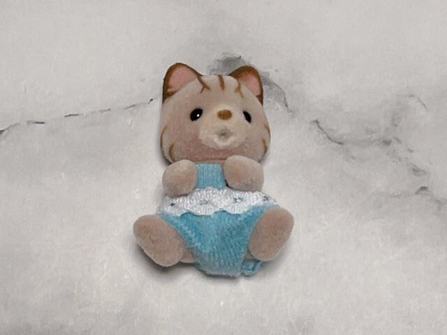 お洋服を着せてみました