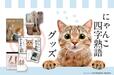 【にゃんこ四字熟語グッズ】