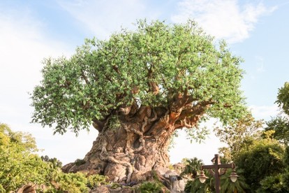 海外ディズニー 見なきゃ絶対に損 Wdw アニマル キングダム 本格派ショーの見どころ 攻略方法ガイド 1 5 ディズニー特集 ウレぴあ総研