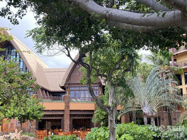 アウラニの風景