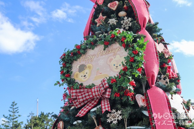 ケープコッドのデコレーション