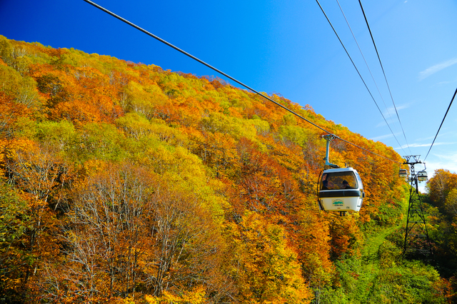 ゴンドラリフト「イヴ」からの紅葉
