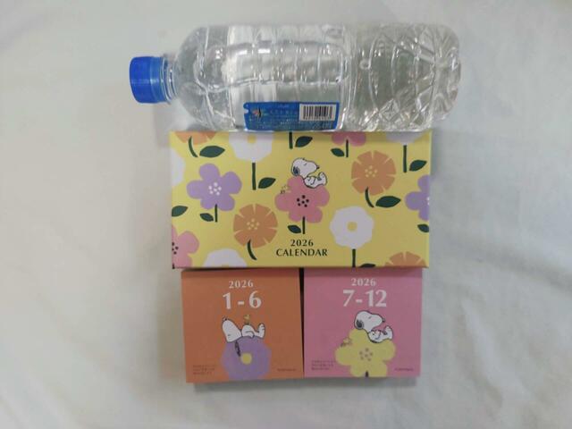 サイズ目安画像