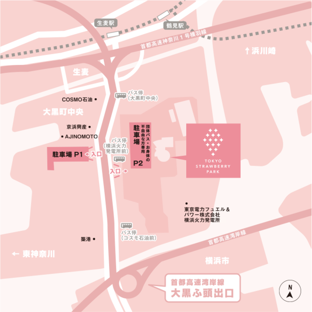 TOKYO STRAWBERRY PARK