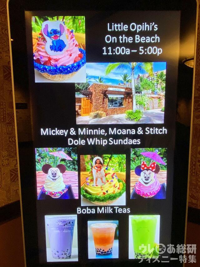 アウラニの情報案内