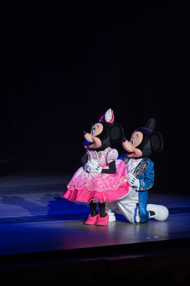 バレンタイン・ナイト 2016 ゲストメッセージ 結婚記念日 ミッキーマウス ミニーマウス 撮影:YOSHI