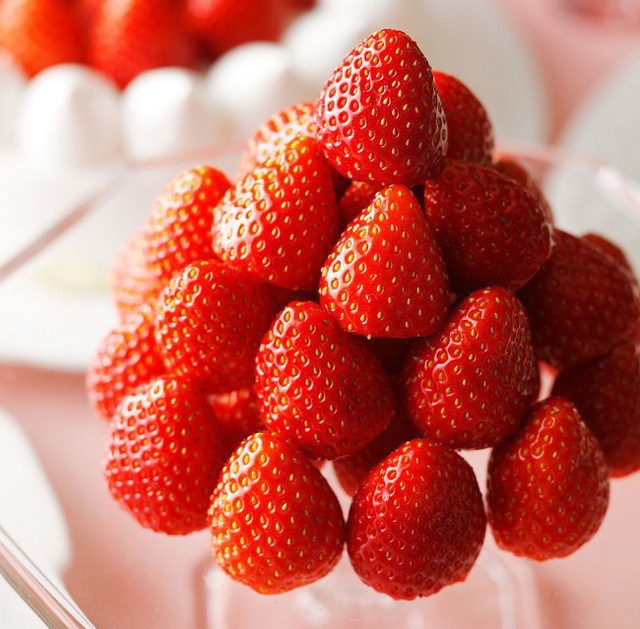 ※写真はイメージです