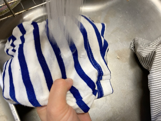 【ワークマン　レディースサーバーバスクハーフシャツ】流水で流せば落ちました