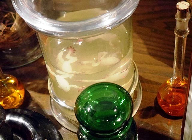 3. マグマサンクタムツアー　研究室にあるカエルの様な生物 ©Disney