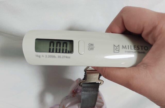 重さはほぼなく、図っても測定できませんでした