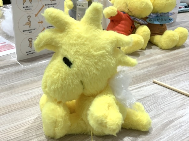 トサカのバランスをチェック