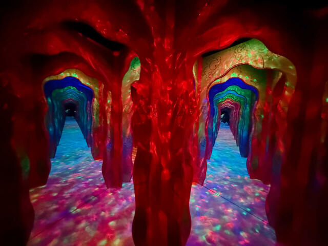 「あくむな部屋」の入り口。遊園地の鏡の迷路形式のエリアです